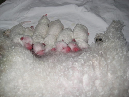 Bild 022