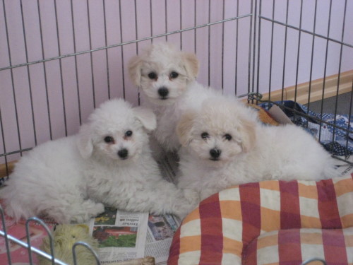 Bild 92
