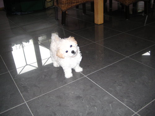 KIRA 18.09.2011 001