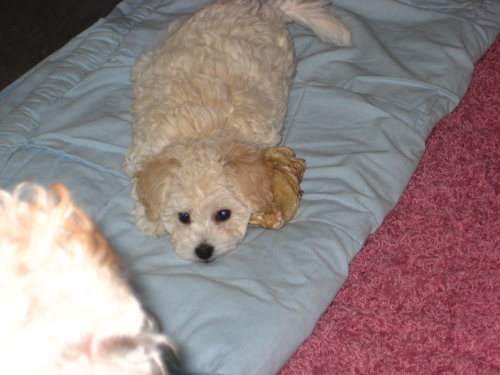 KIRA 18.09.2011 004