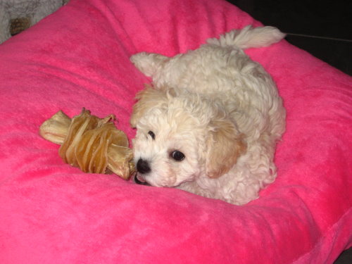 KIRA 18.09.2011 011